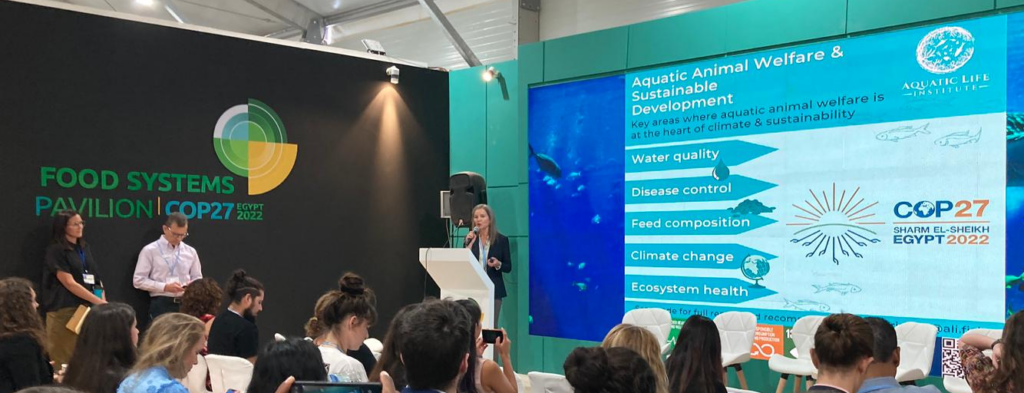 Presentation about aquatic animal welfare at COP27