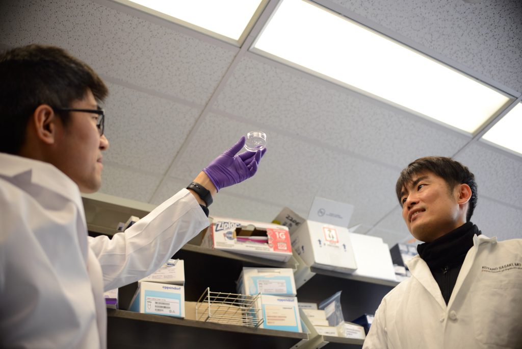 Scientists examine a petri dish